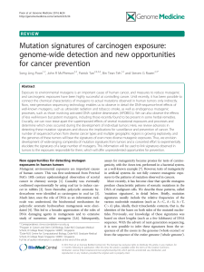 Mutation signatures of carcinogen exposure