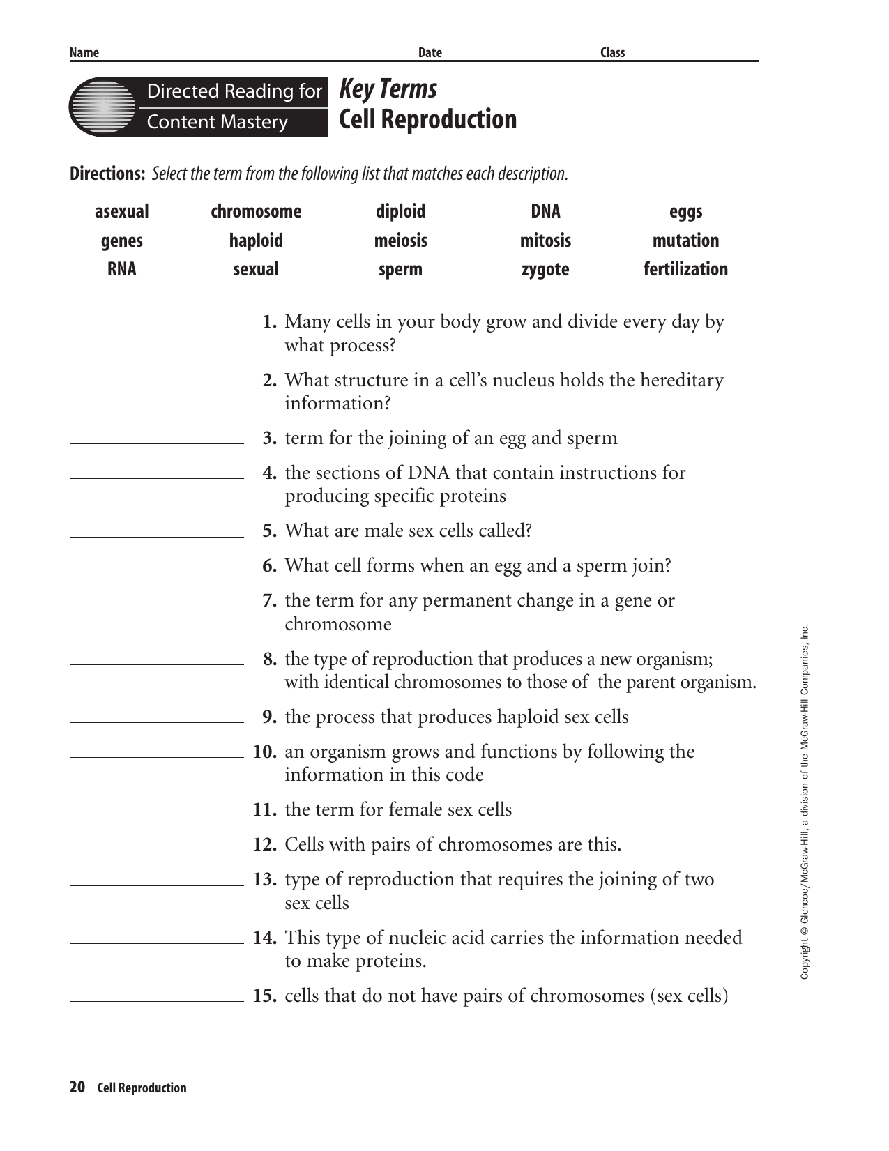 Key Terms Cell Reproduction With Cell Reproduction Worksheet Answers