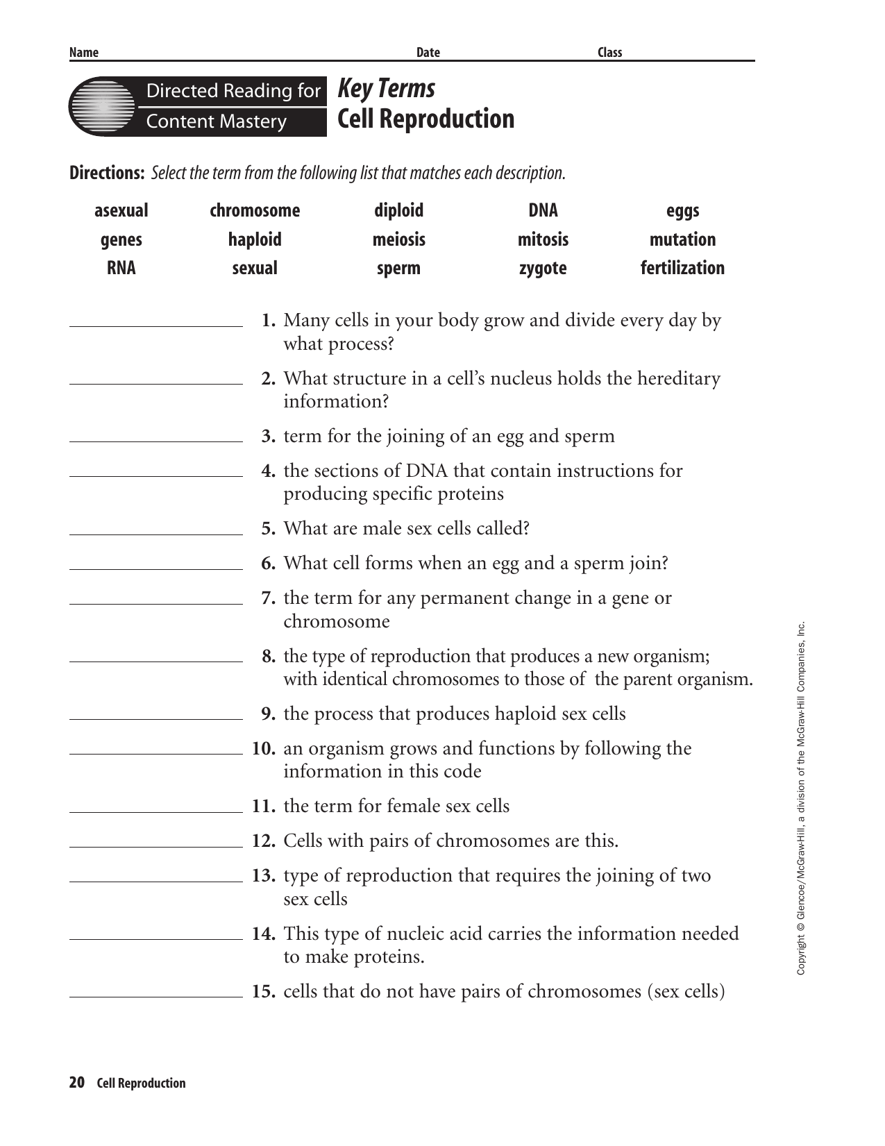 cell-reproduction-worksheet-answers