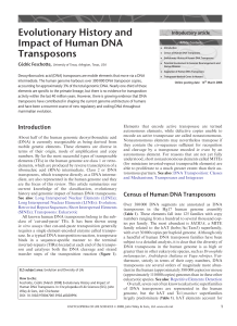"Evolutionary History and Impact of Human DNA Transposons". In