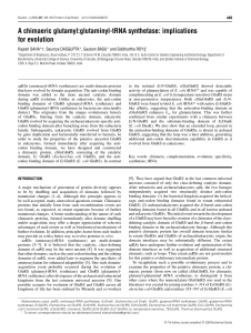 A chimaeric glutamyl:glutaminyl-tRNA synthetase: implications for