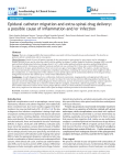 Epidural catheter migration and extra-spinal drug delivery