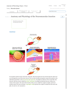 Module 17 / Anatomy and Physiology of the