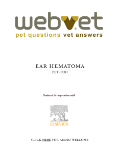 ear hematoma