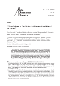 NTPase/helicase of Flaviviridae: inhibitors and inhibition of the