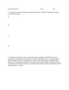 Enzyme Quiz # 20 First : Last: 1. Explain how an enzyme speeds up