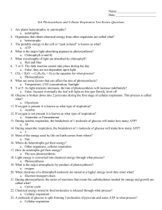 Photosynthesis and Cellular Respiration Test Bluff Questions