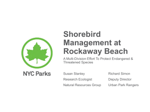 New York City`s Rockaway Beach is an area that supports a number