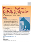 Fibrocartilaginous Embolic Myelopathy