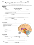 Physiology Notes: The Central Nervous System