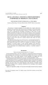 167 renal and small intestinal sodium