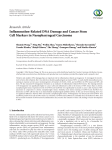 Inflammation-Related DNA Damage and Cancer Stem Cell Markers