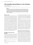 PI3K signalling during influenza A virus infections