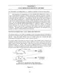 chapter 11 cell-mediated immunity and mhc