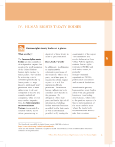 iv. human rights treaty bodies