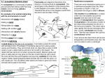 Yr 7 ecosystems Revision sheet An ecosystem is a community of