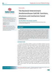 The Bacterial Heterotrimeric Amidotransferase GatCAB