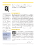 The Construction of GFP Fusion Genes For Transgenically Labeled