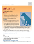 Osteoarthritis