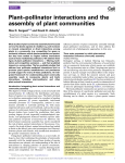 Plant–pollinator interactions and the assembly of plant