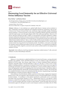 Harnessing Local Immunity for an Effective Universal Swine