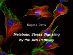 Metabolic Stress Signaling by the JNK Pathway