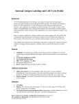 Internal antigens and cell cycle