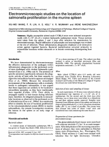 Electronmicroscopic studies on the location of salmonella