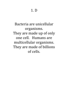 1. D Bacteria are unicellular organisms. They are made up of only