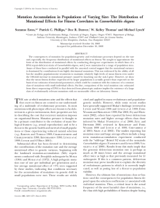 Mutation Accumulation in Populations of Varying Size