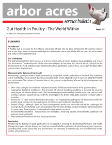 Gut Health in Poultry - The World Within