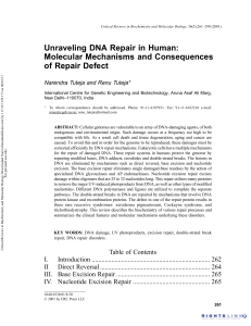 Unraveling DNA Repair in Human: Molecular Mechanisms and