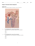 ExamView - Ch13 Review Assignment.tst