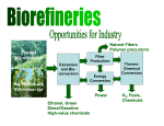 Biorefinery Studies