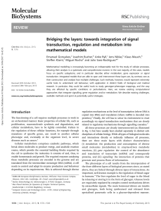 Bridging the layers: towards integration of signal transduction