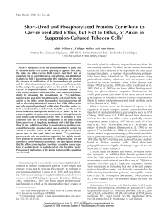 Short-Lived and Phosphorylated Proteins