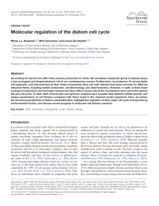 Molecular regulation of the diatom cell cycle