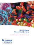 Viral Antigens Recombinant Proteins