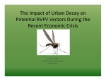 The Impact of Urban Decay on Potential RVFV Vectors During the