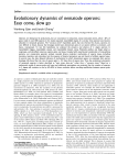 Evolutionary dynamics of nematode operons