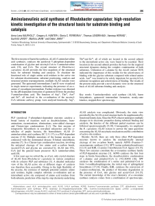 Aminolaevulinic acid synthase of Rhodobacter capsulatus: high