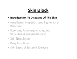 Skin Block