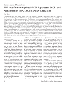 RNA Interference Against BACE1 Suppresses BACE1 and Aβ