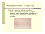 Microscopic Sediment – Miscellaneous