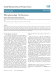 Mycoplasmology: the big issues