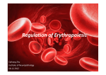 Regulation of erythropoiesis