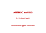 ANTHOCYANINS