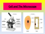 Cell and The Microscope