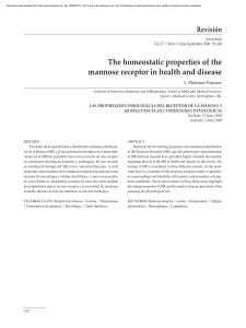 The homeostatic properties of the mannose receptor in health and