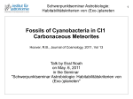 Fossils of Cyanobacteria in CI1 Carbonaceous Meteorites